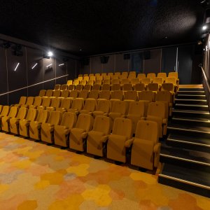 FilmTheater FilmkrantDag 2025